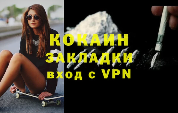 хмурый Белокуриха
