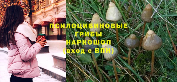 хмурый Белокуриха