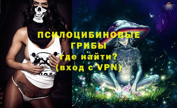 хмурый Белокуриха