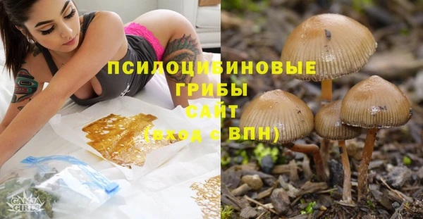 хмурый Белокуриха