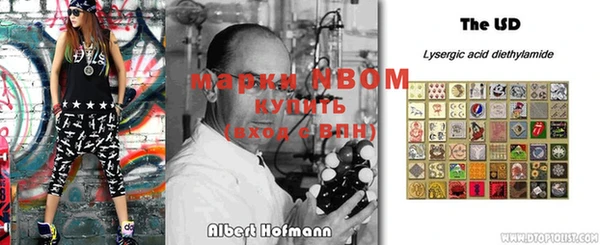 хмурый Белокуриха