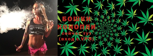 хмурый Белокуриха