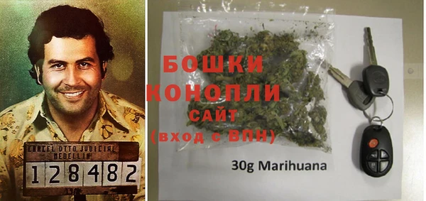 хмурый Белокуриха