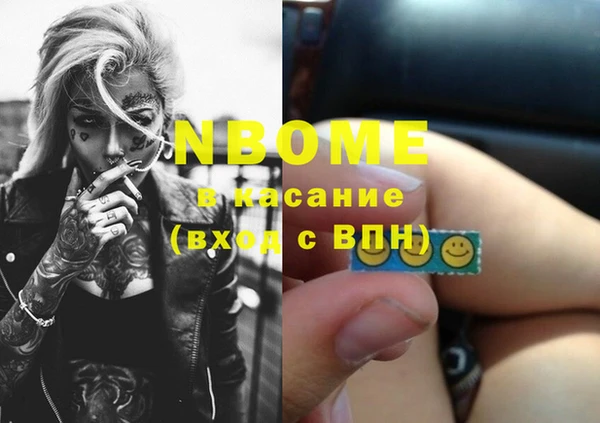 хмурый Белокуриха