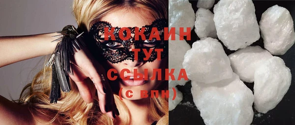 хмурый Белокуриха