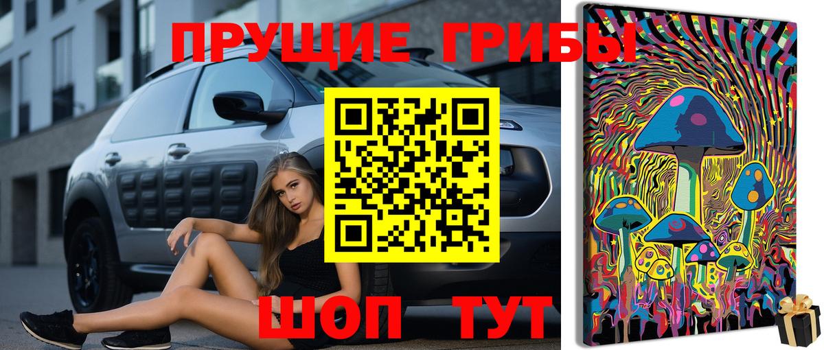 Псилоцибиновые грибы ЛСД Саяногорск