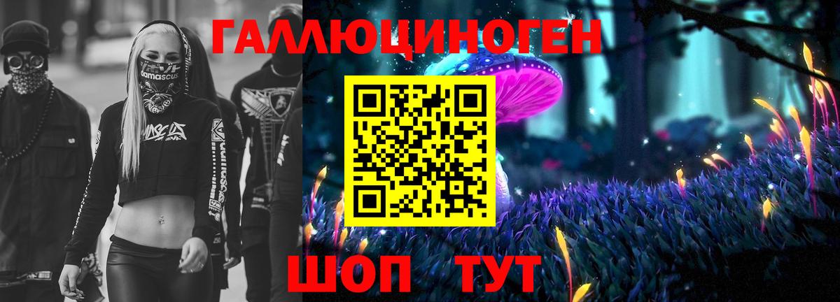 что такое   Галлюциногенные грибы прущие грибы  Вход с VPN  Саяногорск 